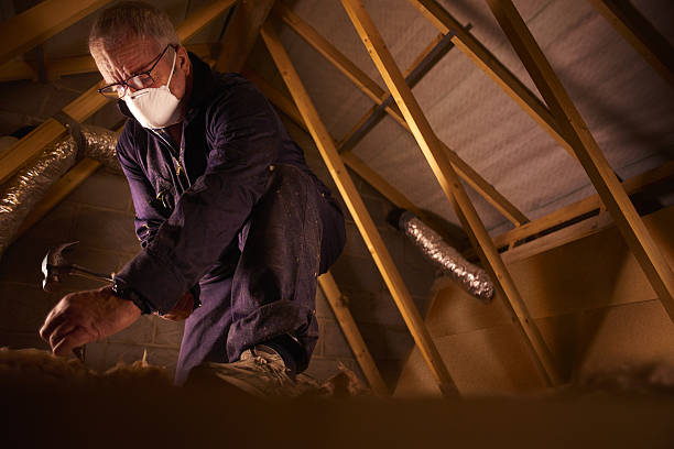Insulation Replacement Services in Sterling, KS